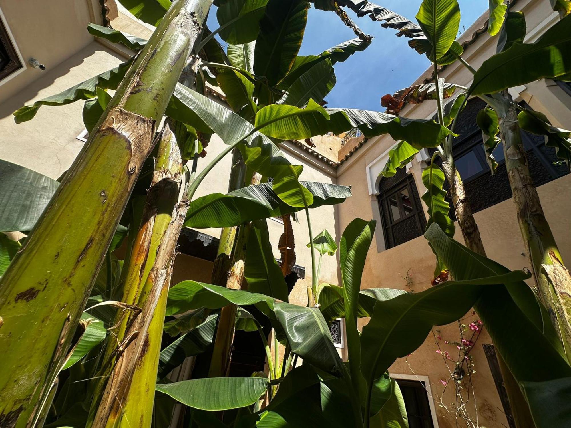 Riad Bamileke Марракеш Экстерьер фото